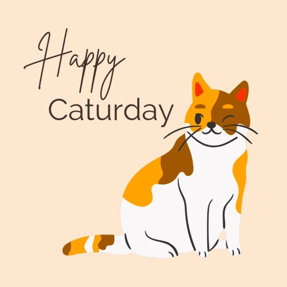 Days of the week π±ββοΈ - Picture 4 of 16